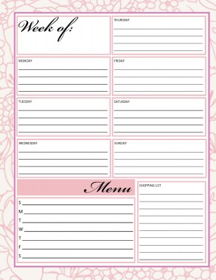 P4L My Life Planner Weekly Planner Page